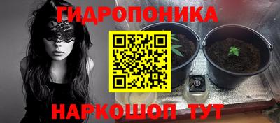 крисы Бугуруслан