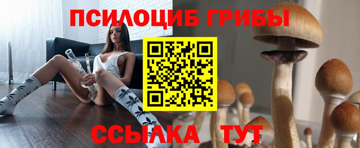 Псилоцибиновые грибы Magic Shrooms Менделеевск